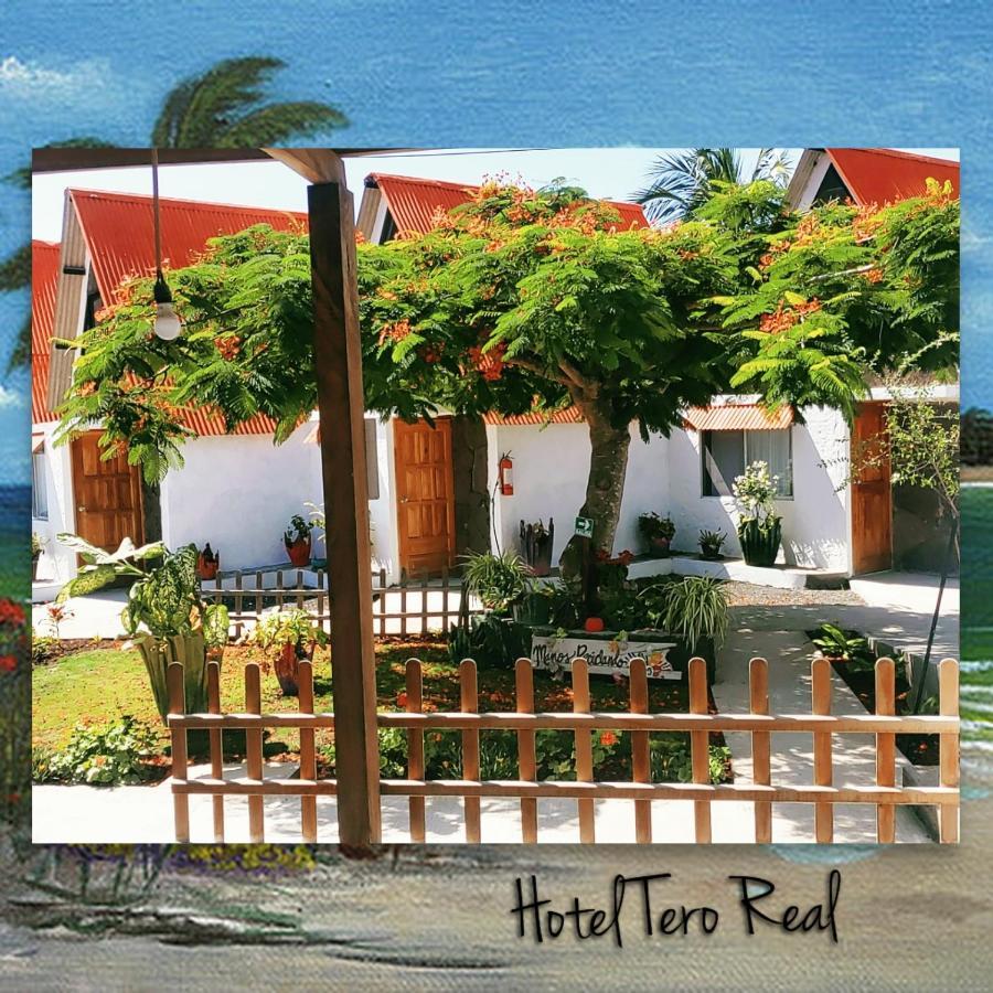 Hostal Tero Real Пуэрто-Вильямиль Экстерьер фото