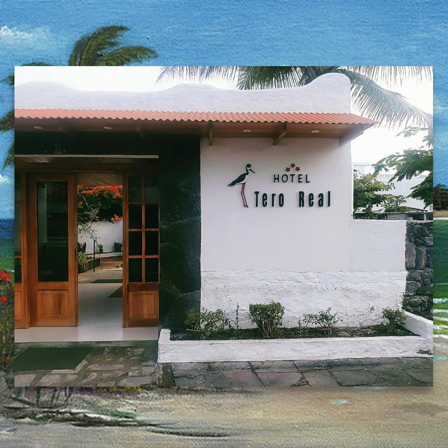 Hostal Tero Real Пуэрто-Вильямиль Экстерьер фото