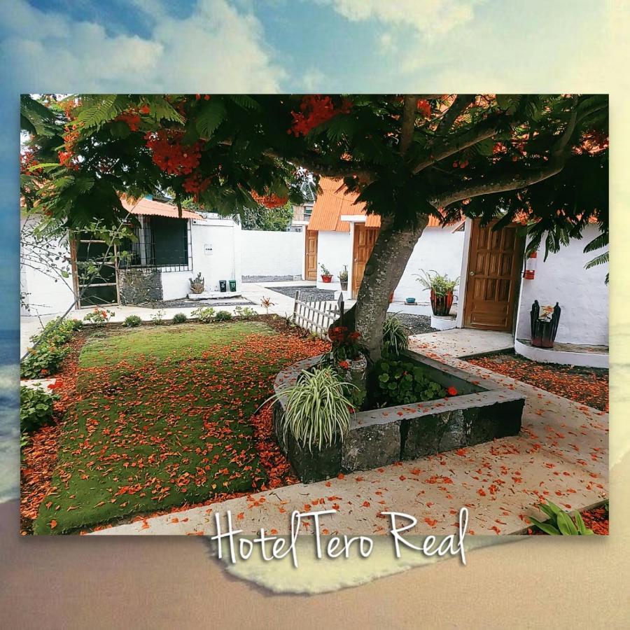 Hostal Tero Real Пуэрто-Вильямиль Экстерьер фото